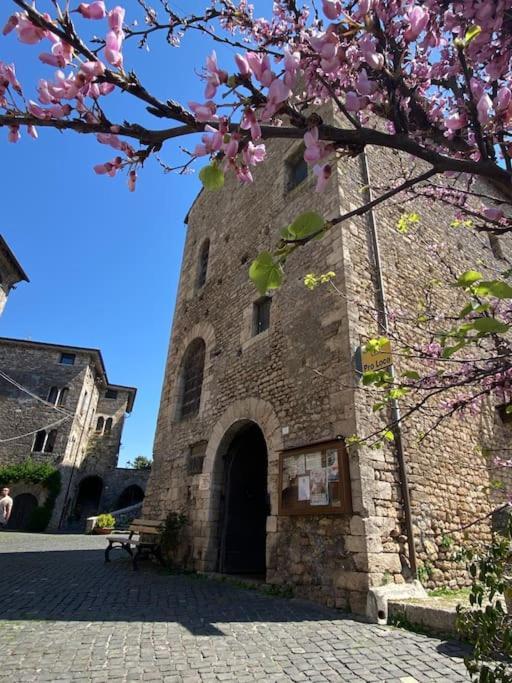 Il Nido Dell'Arte Apartment Anagni Exterior photo